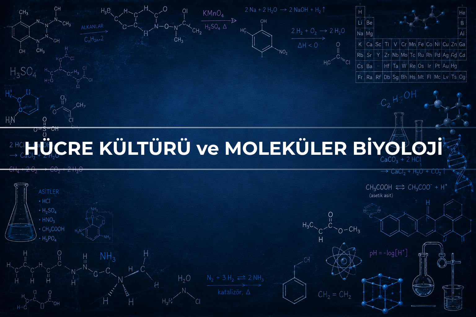 Hücre Kültürü ve Moleküler Biyoloji