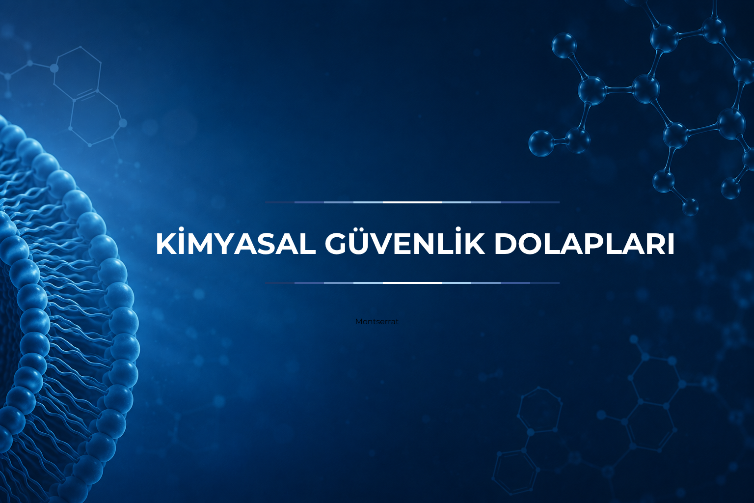 Kimyasal Güvenlik Dolapları ve diğer cihazlar