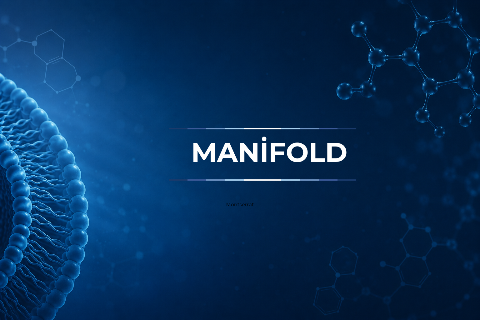 Manifold