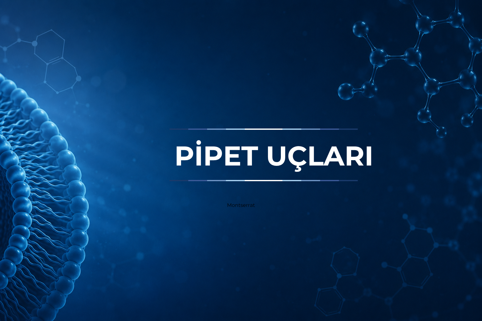 Pipet Uçları